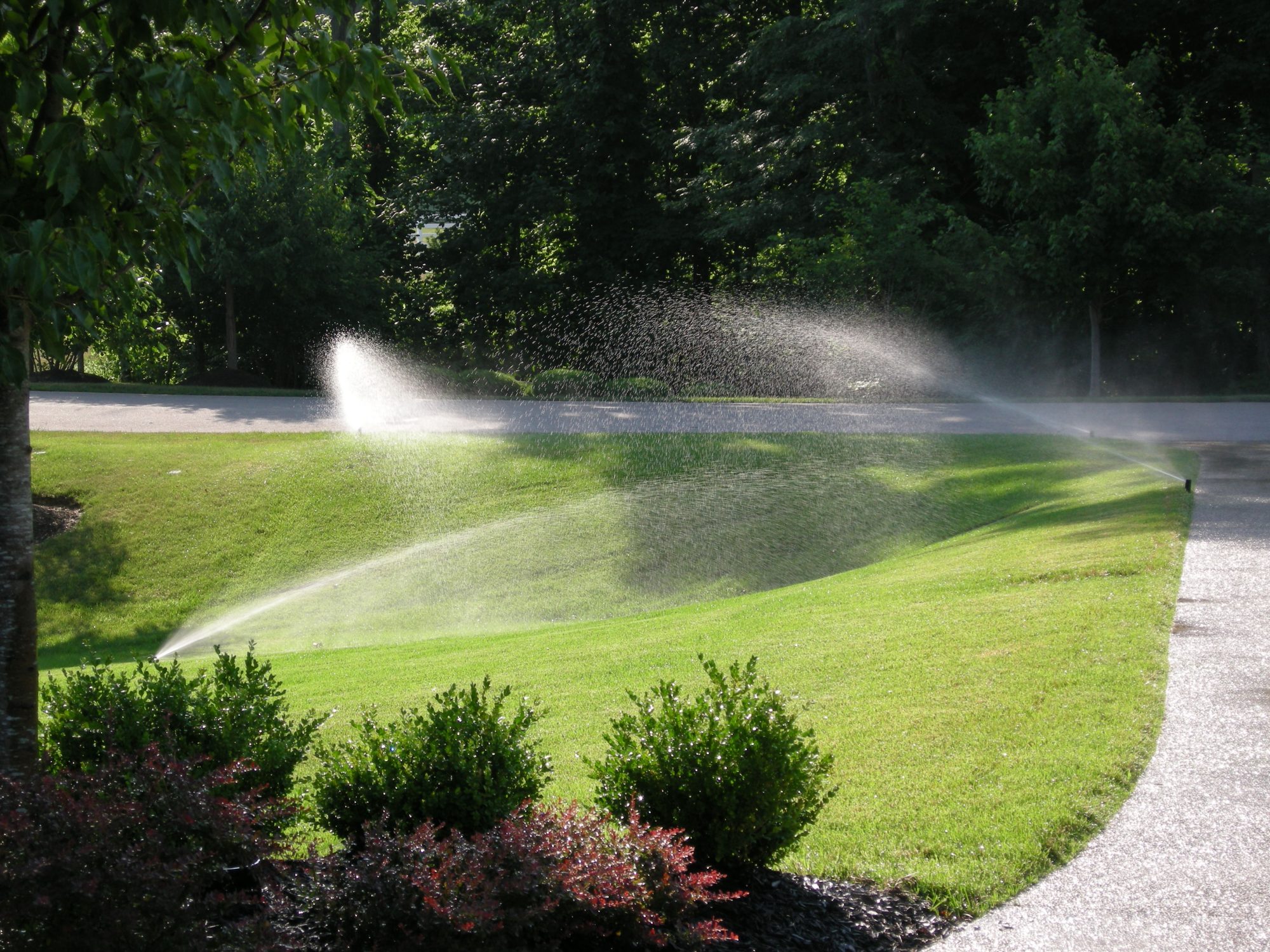 sprinkler-system-irrigation - Pro Drainage